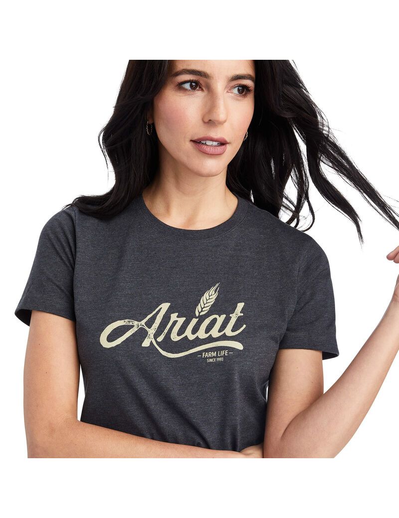 Hauts Ariat Wheat Script Tee Grise | 236871MIH