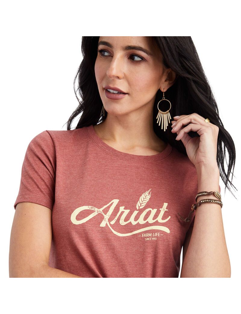 Hauts Ariat Wheat Script Tee Rouge | 062931ZTK