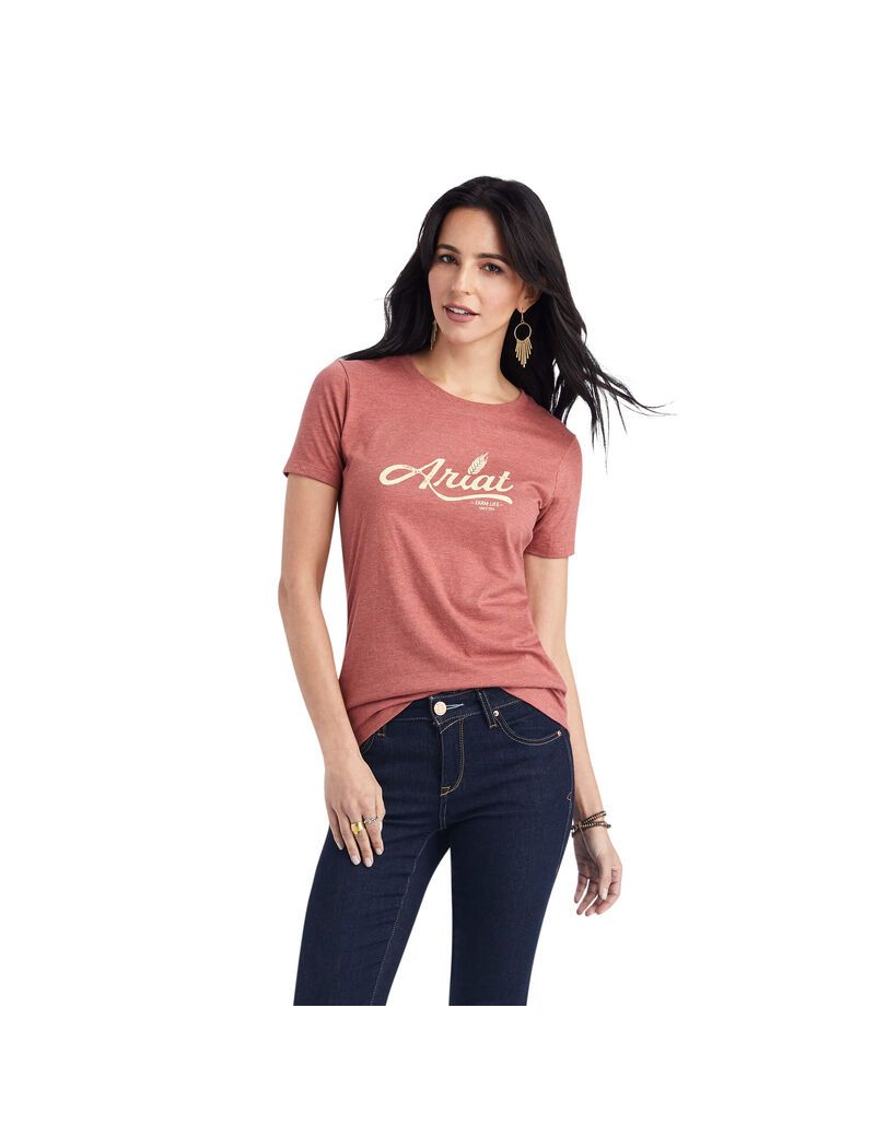 Hauts Ariat Wheat Script Tee Rouge | 062931ZTK