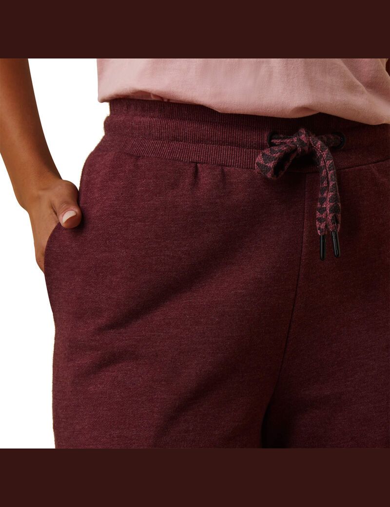 Pantalon Ariat Route Runner Bordeaux | 697385AMZ