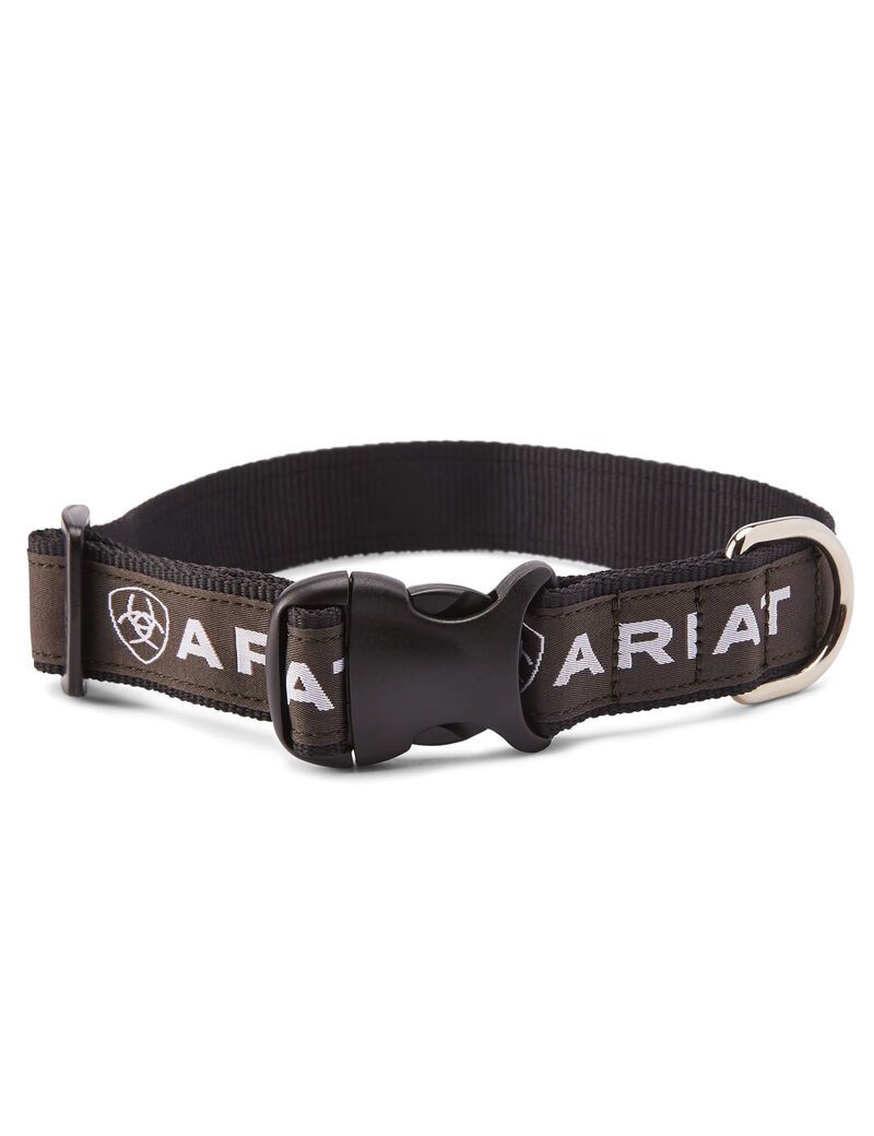 Pet Accessories Ariat Dog Collar Noir Grise | 580714BRP