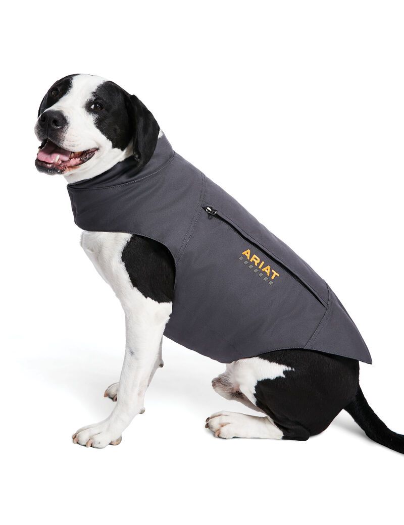 Pet Accessories Ariat Rebar DuraCanvas Insulated Dog Jackets Grise | 468732SOM