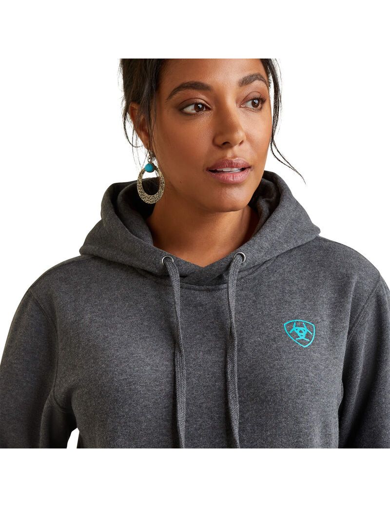 Sweat À Capuche Ariat Logo Grise | 943085AKS