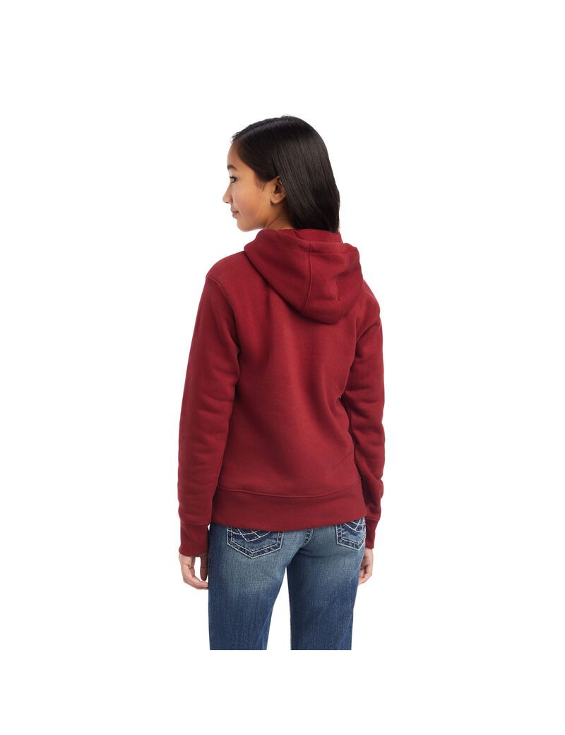 Sweat À Capuche Ariat REAL Beartooth Rouge Foncé | 625891ELD