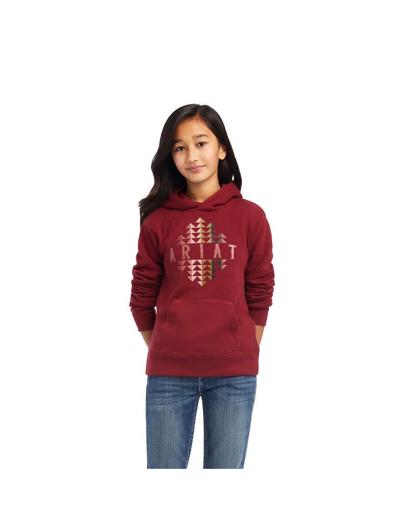 Sweat À Capuche Ariat REAL Beartooth Rouge Foncé | 625891ELD