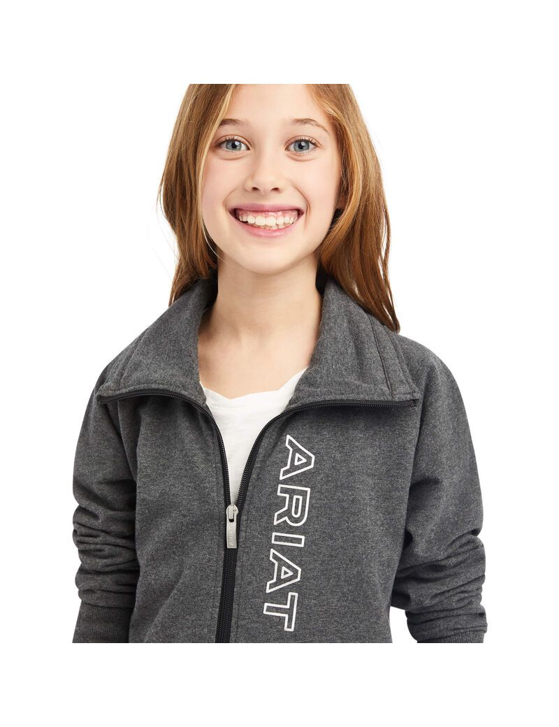 Sweats Ariat Team Logo Full Zip Grise | 654830CLZ