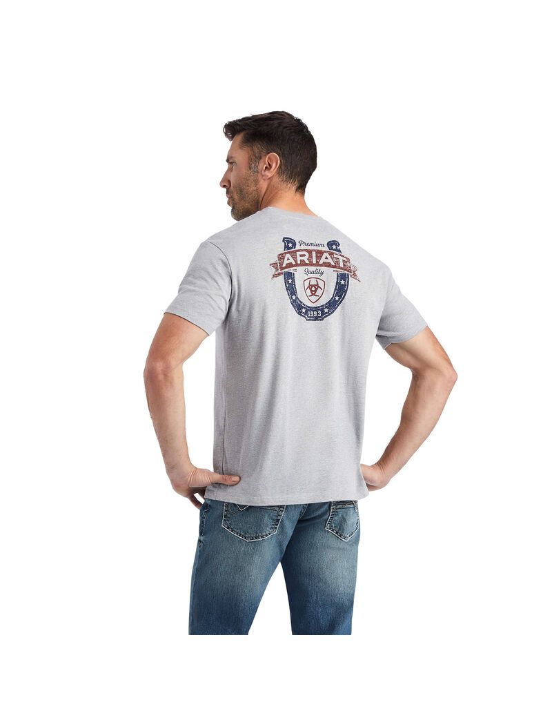 T Shirts Ariat Lucky Horseshoe Grise | 893042OQR