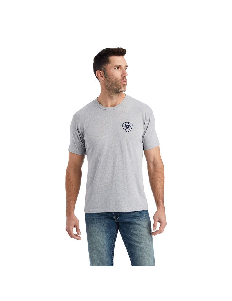 T Shirts Ariat Lucky Horseshoe Grise | 893042OQR