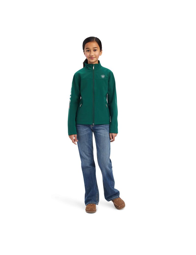 Vestes Ariat New Team Softshell MEXICO Multicolore | 830249AKX